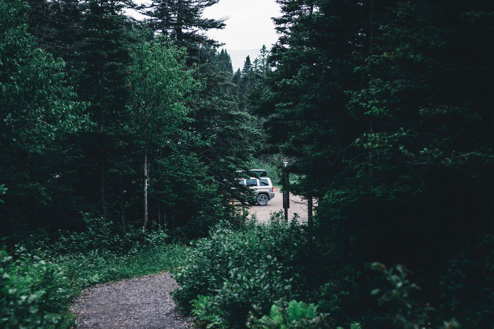 Pathway through dense forest leading to a parked camper van